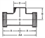 Picture of TEE BRANCH WELD BOTH RUNS THREAD T316L 3A