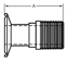Picture of ADAPTER CLAMP X MNPT T316L #7 3.437 OAL