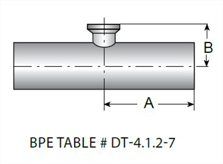 Picture for category Reducing Tees MaxPure 316L